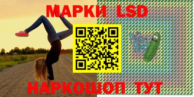 крисы Кулебаки