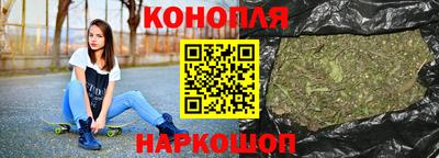 крисы Кулебаки