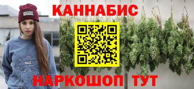 крисы Кулебаки