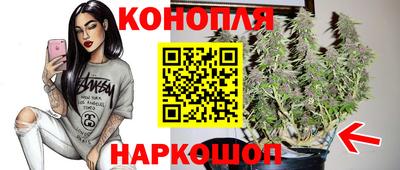 крисы Кулебаки