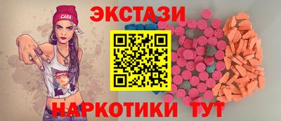 крисы Кулебаки