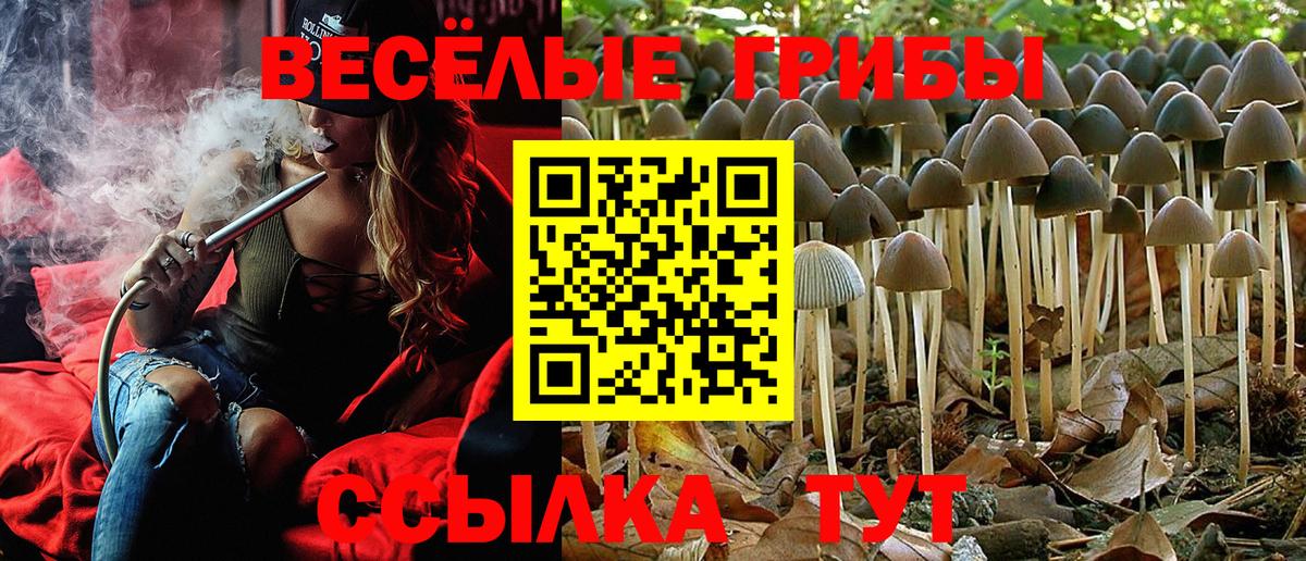 где купить наркоту  Вход с VPN  Железноводск  Галлюциногенные грибы мицелий 
