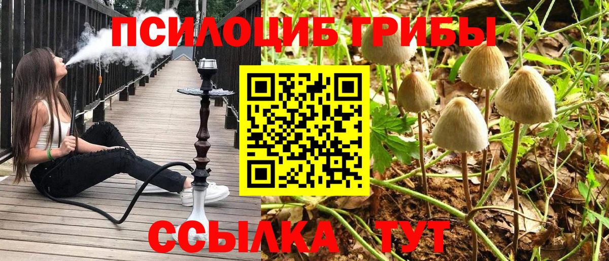 Псилоцибиновые грибы Magic Shrooms Железноводск